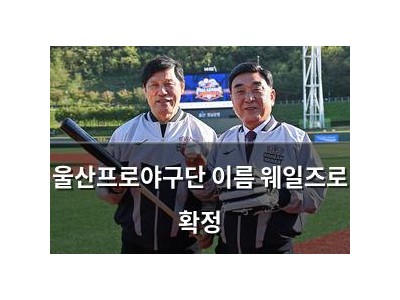 울산프로야구단 이름 웨일즈로 확정