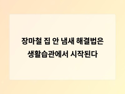 장마철 집안 냄새는 습관에서 시작된다 완벽한 관리법 공개