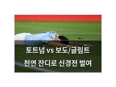토트넘 vs 보도/글림트 천연 잔디로 신경전 벌여