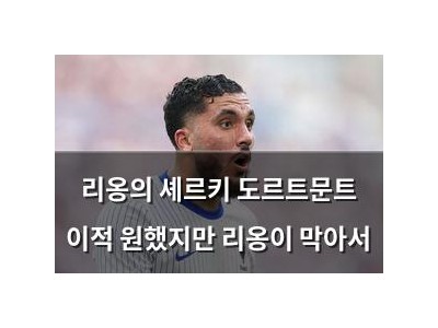 리옹의 셰르키 도르트문트 이적 원했지만 리옹이 막아서