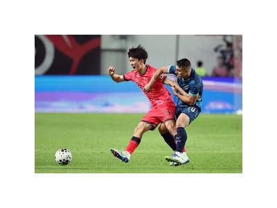황인범 시즌 아웃 확정 페예노르트 팬들 충격