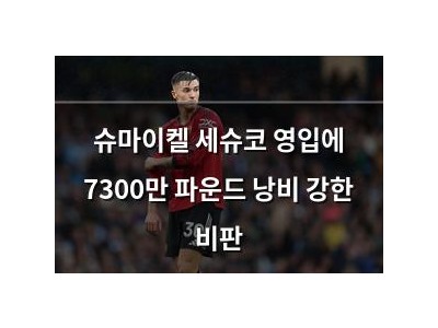 슈마이켈 세슈코 영입에 7300만 파운드 낭비 강한 비판