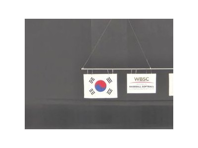 한국 야구팀 태극기 거꾸로 게양 사고