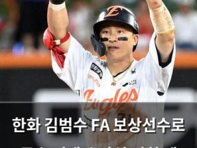 한화 김범수 FA 보상선수로 투수 선택 손아섭 거취 왜 화제?