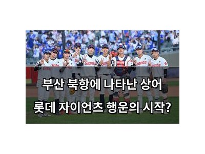 부산 북항에 나타난 상어 롯데 자이언츠 행운의 시작?